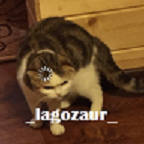 Rapsonn1