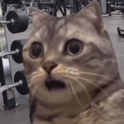 Awatar użytkownika mapi9811