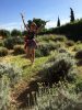 Energy Boost: Βοήθησε τον πλανήτη… Ζήσε οικολογικά!