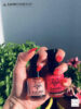 Νιώσε έντονα… spring feelings με τη @Laloo και την Ηλιάνα Παπαγεωργίου!