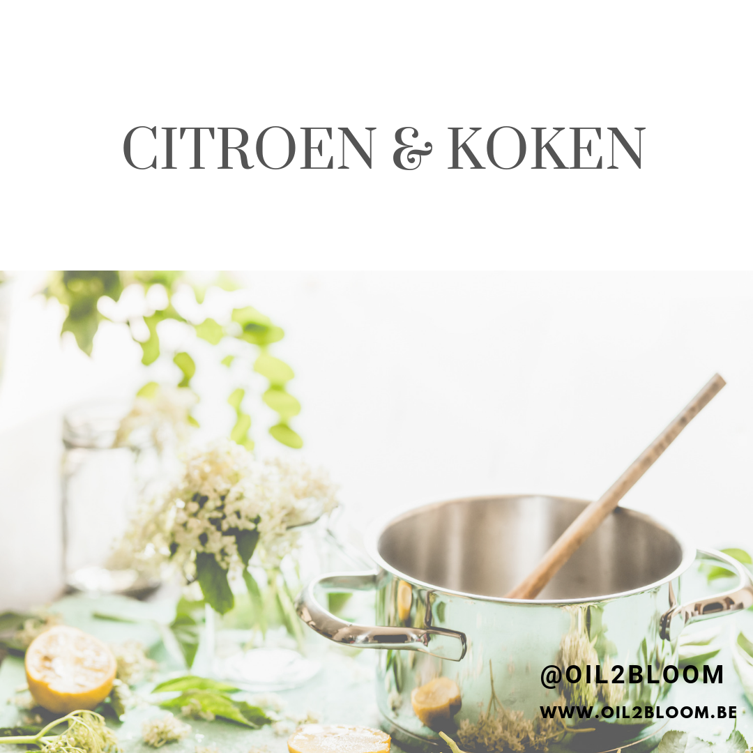 MANIEREN OM CITROEN TE GEBRUIKEN