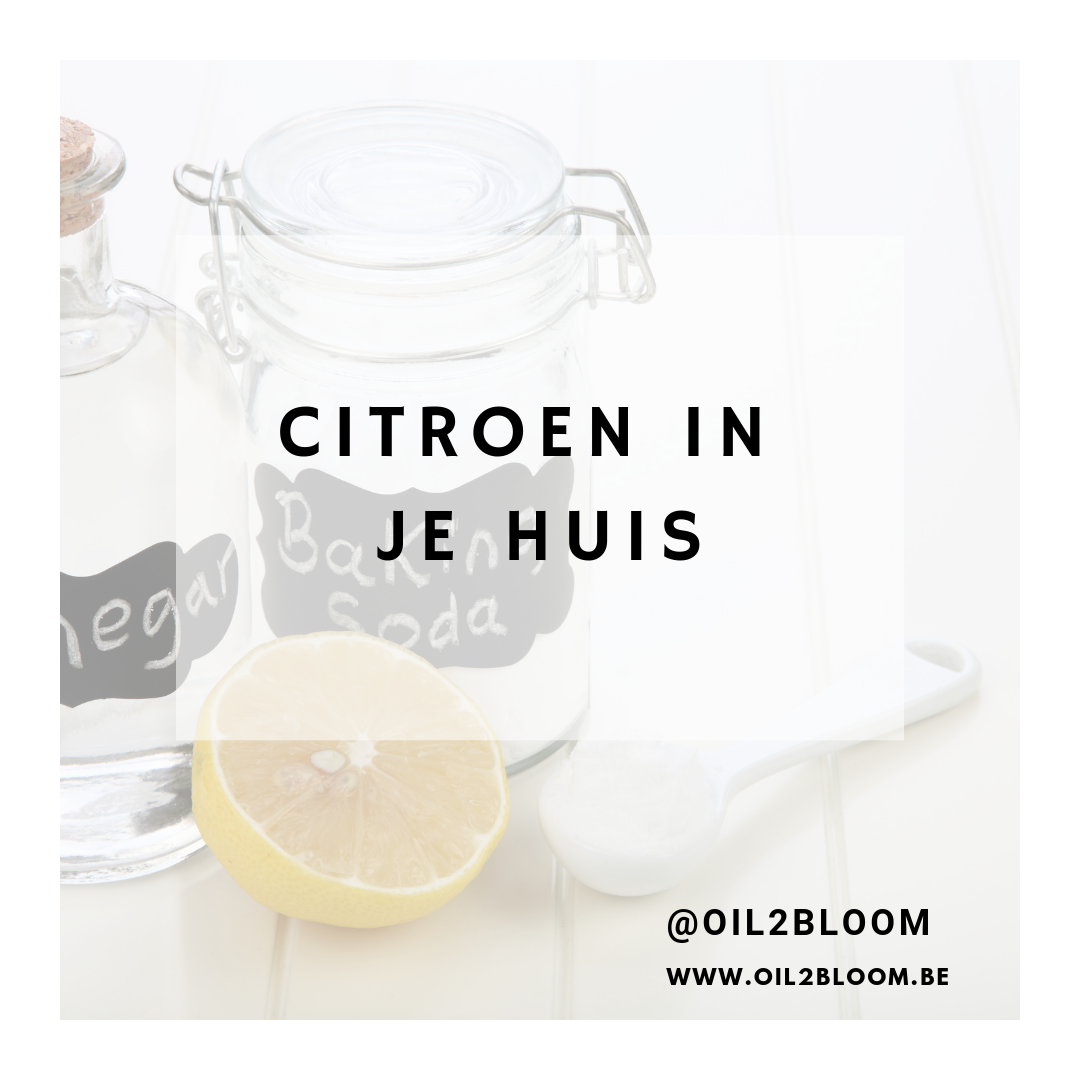 CITROEN IN HUIS