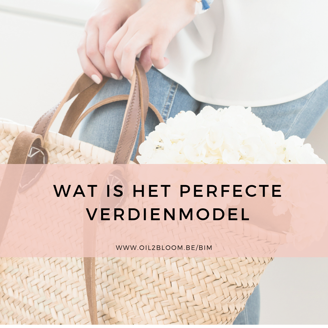 perfecte verdienmodel perfecte verdienmodel