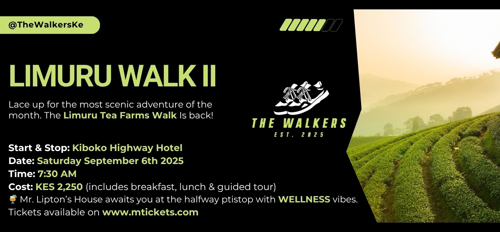 LIMURU WALK II