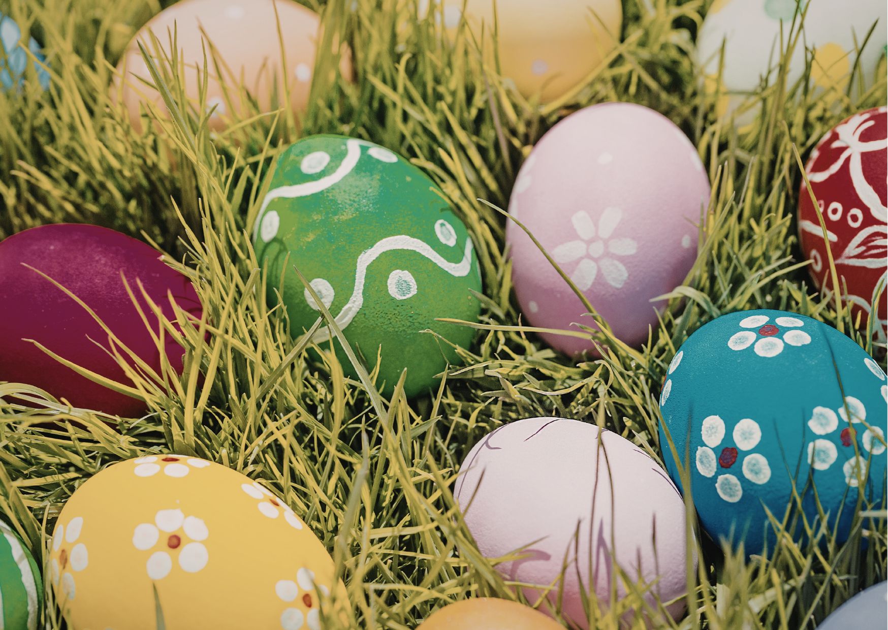 Ei Ei Ei - Alles rund ums Ei  