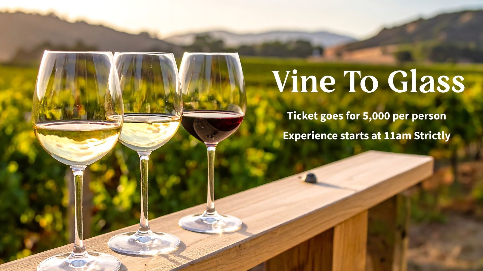VINE TO GLASS 