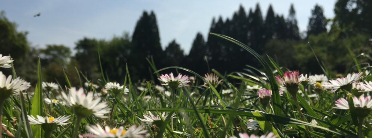 FÜHRUNG | Wie schmeckt der Schlosspark?.img}