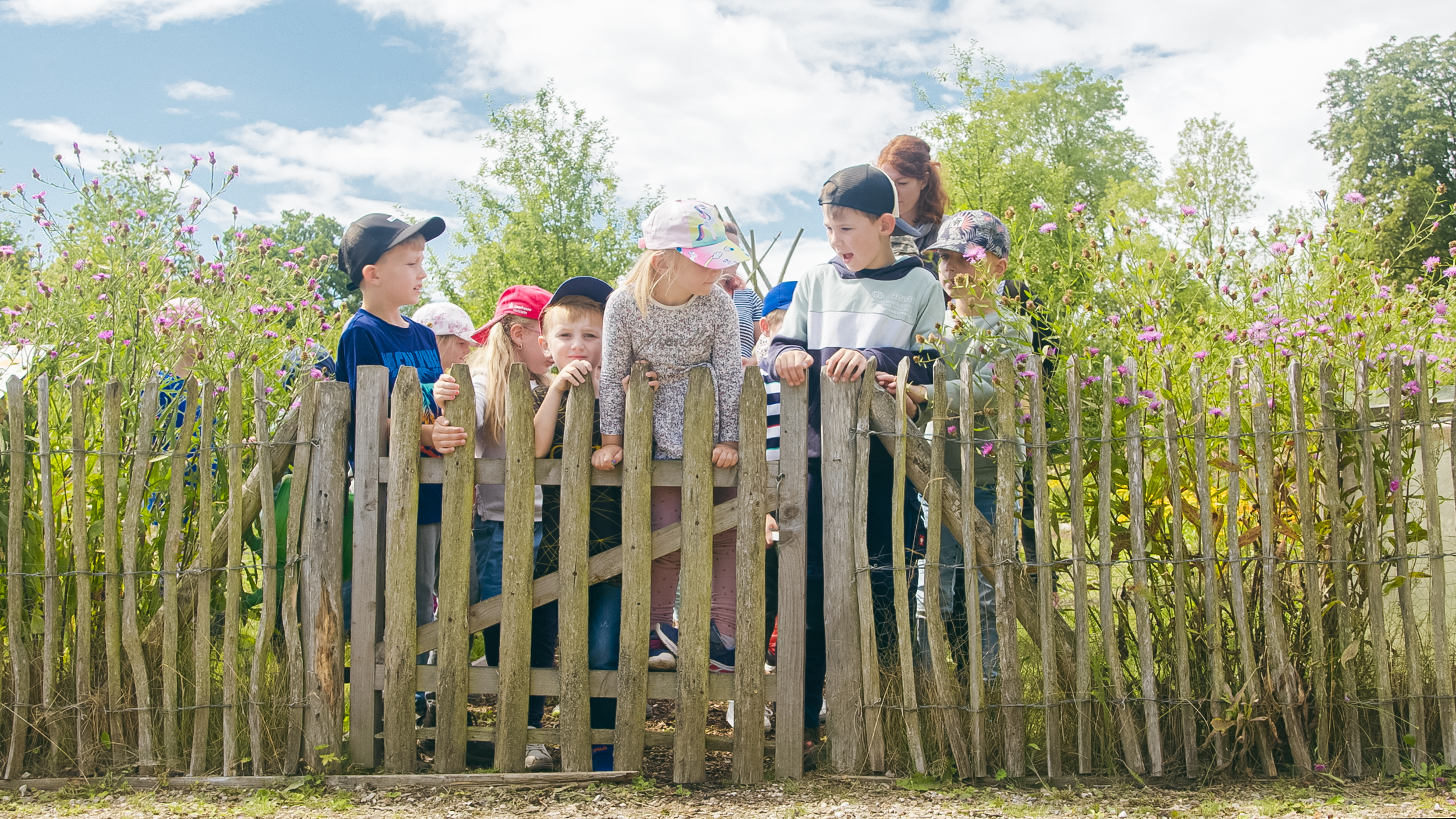 Spontaner Garten-Nachmittag 