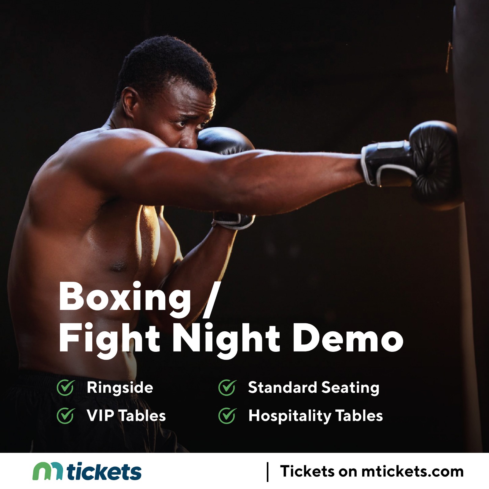 Boxing Fight Night Demo 