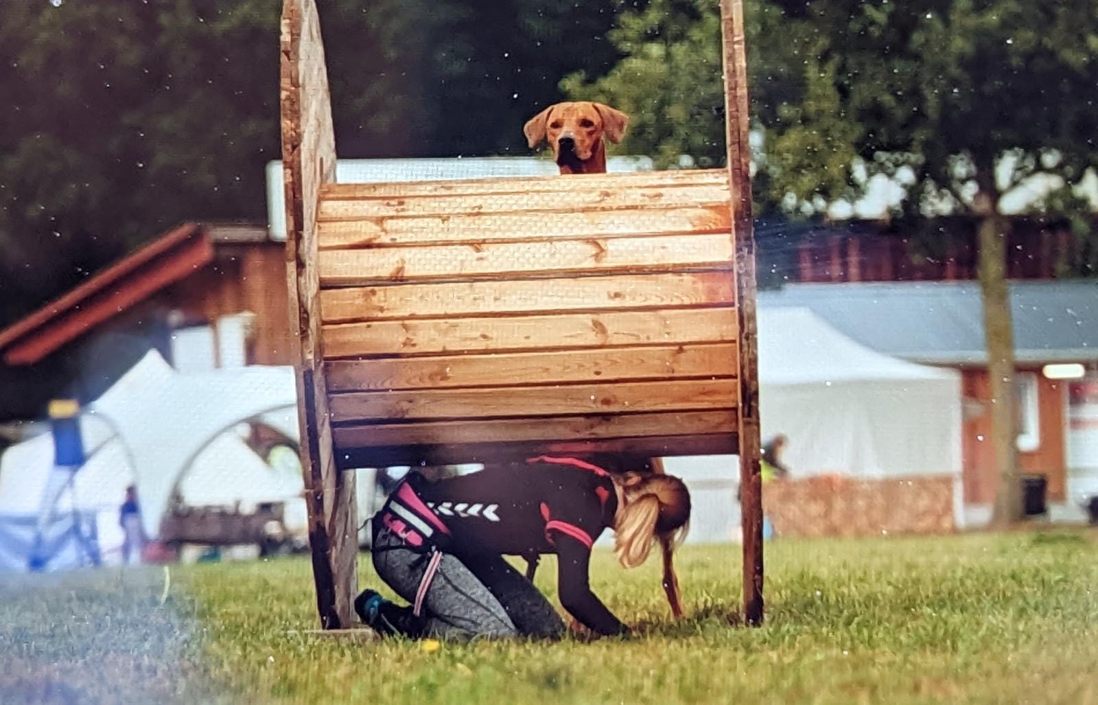 Tickets fr Camp Canis goes Wingst 6.0 | 2024 | vivenu