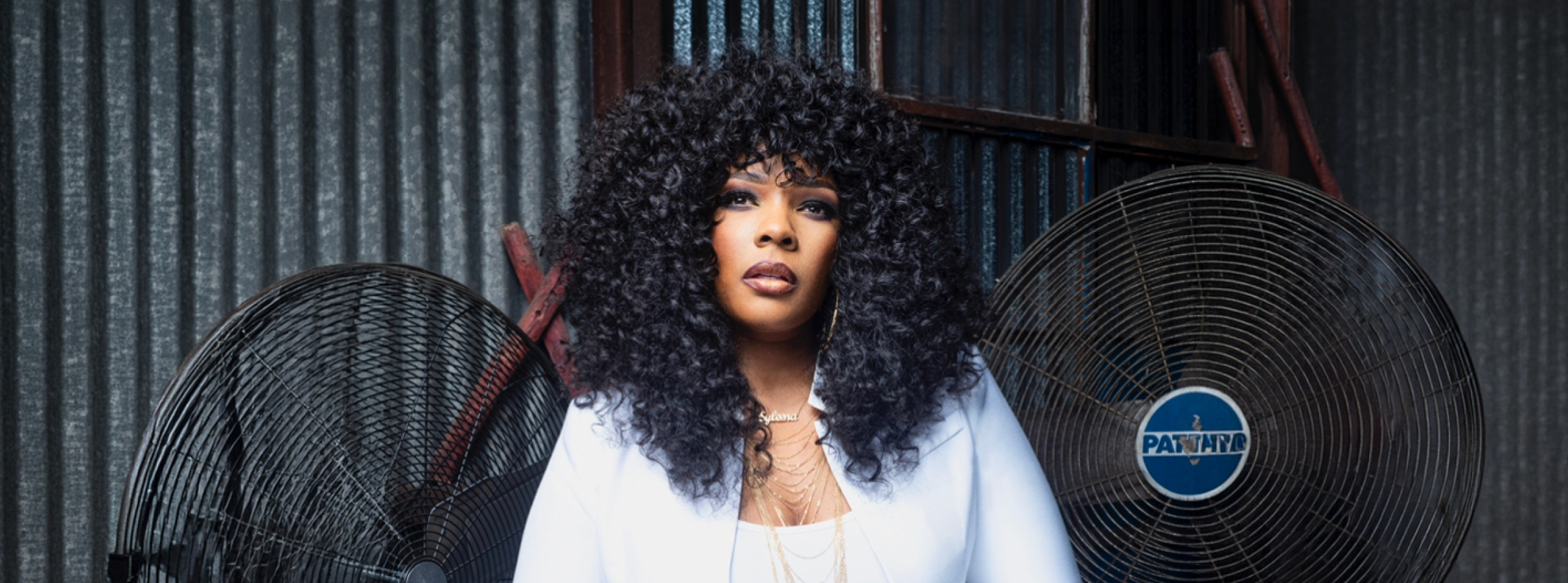 Syleena Johnson "25th Anniversary of Chapter 1: Love, Pain & Forgiveness"