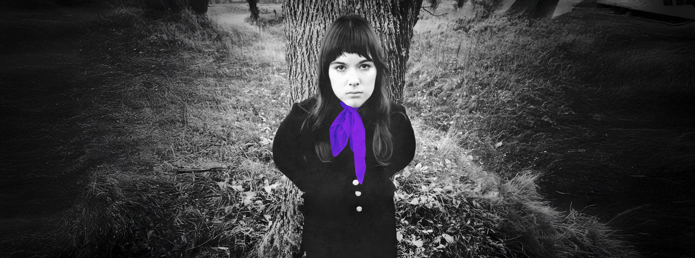 Ann Wilson - In My Voice 