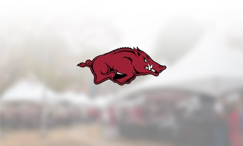 2026 Arkansas Baseball Single Game