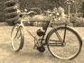 Simson