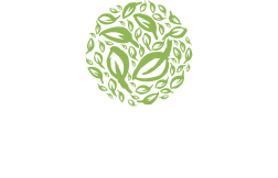 Logo Footer