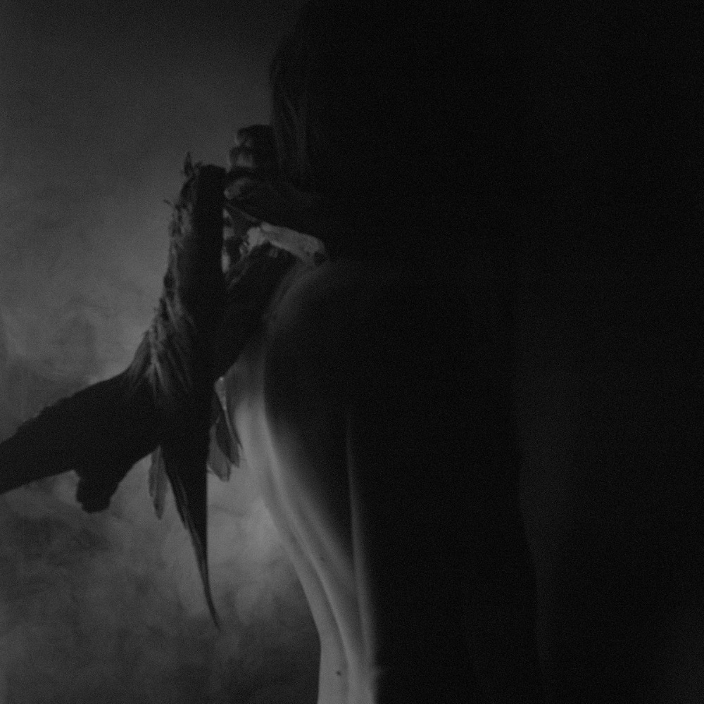 Chaos Moon - Amissum