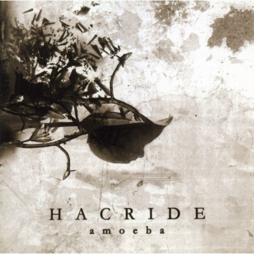 Hacride - Amoeba
