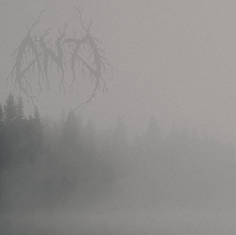 Anti - Anti (digital)