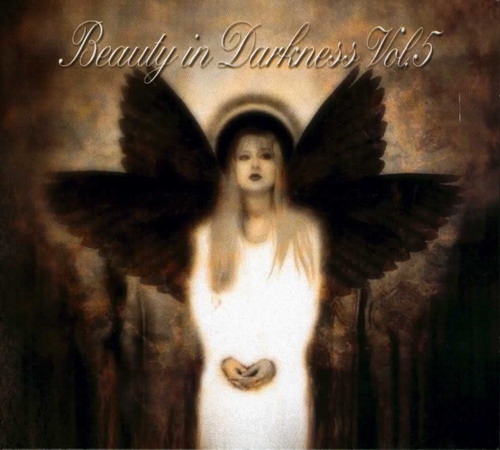 Various B - Beauty in Darkness Vol. 5