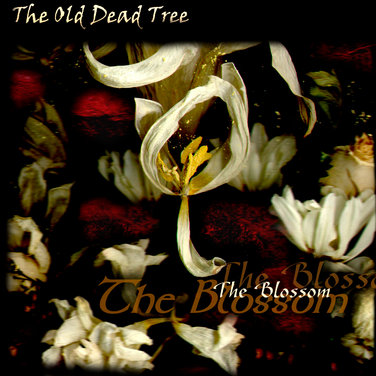 The Old Dead Tree - The Blossom