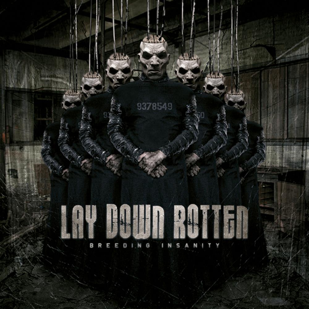 Lay Down Rotten - Breeding Insanity
