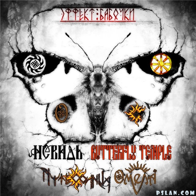 Various B - The Butterfly Effect