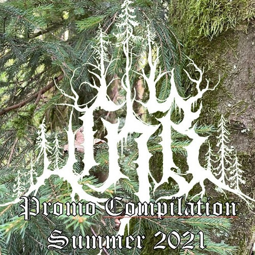 Various C - CNB Promo Compilation Summer 2021
