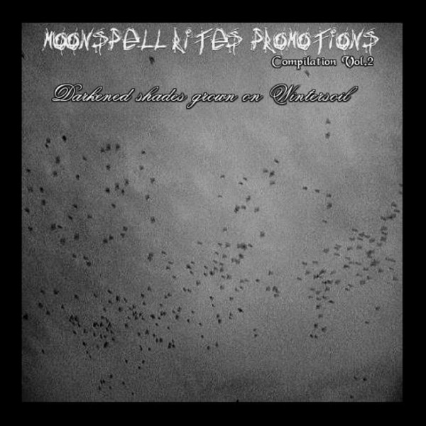 Various D - Darkened Shades Grown On Wintersoil Vol.2 (digital)