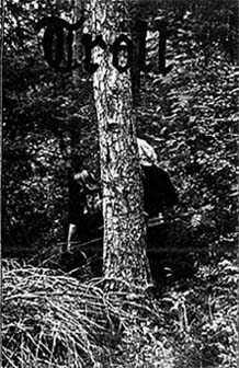 Troll (NOR II) - Demo
