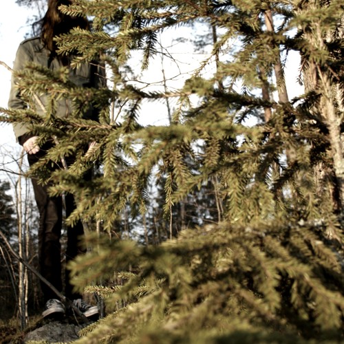 Havukruunu - Demo II