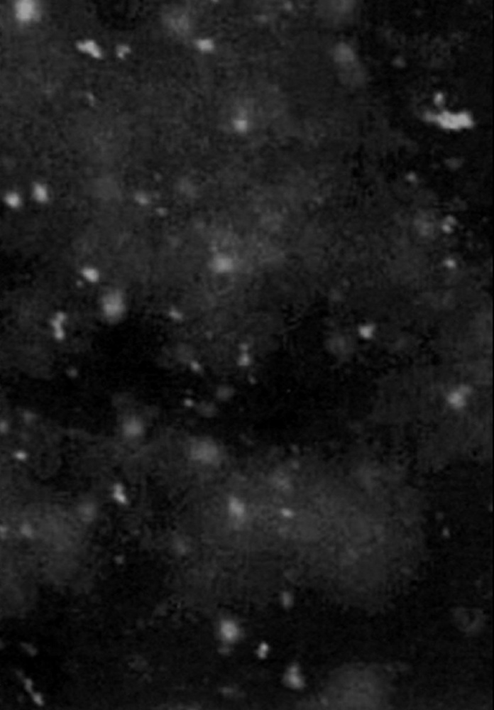 Paysage d'Hiver - Einsamkeit (demo)