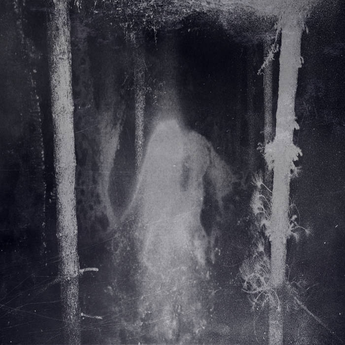 Aeon Winds - Enshrouded by the Veil of Night (digital)