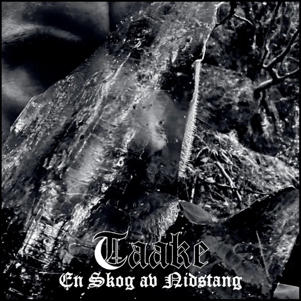 Taake - En Skog Av Nidstang