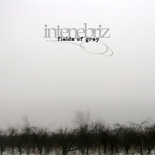 In Tenebriz - Fields of Grey