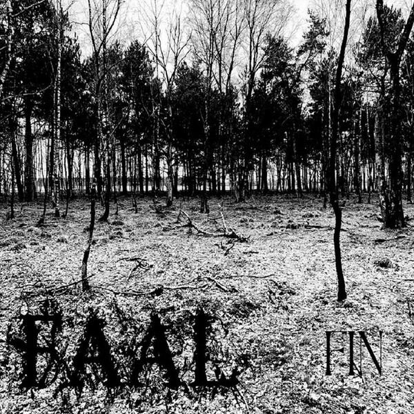 Faal - Fin (digital)