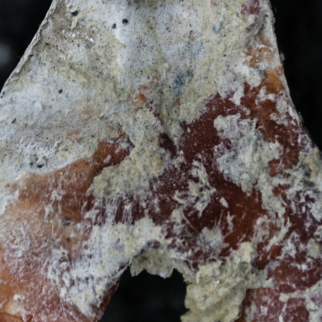 Wiegedood - FN SCAR 16 (digital)