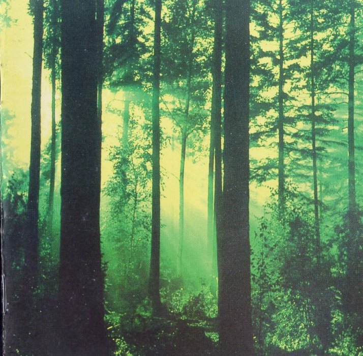 Thy Serpent - Forests of Witchery