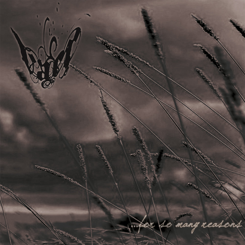 Vaer - For So Many Reasons