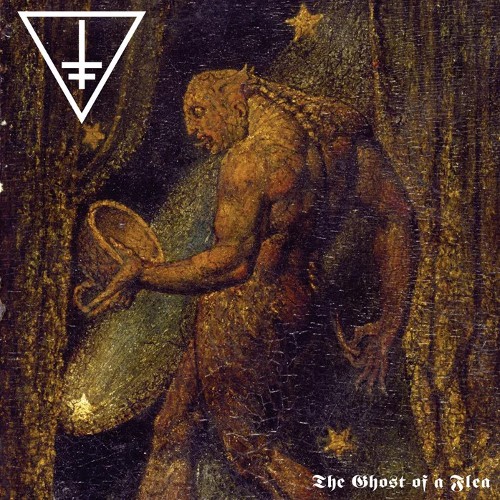 Drowning The Light - The Ghost of a Flea