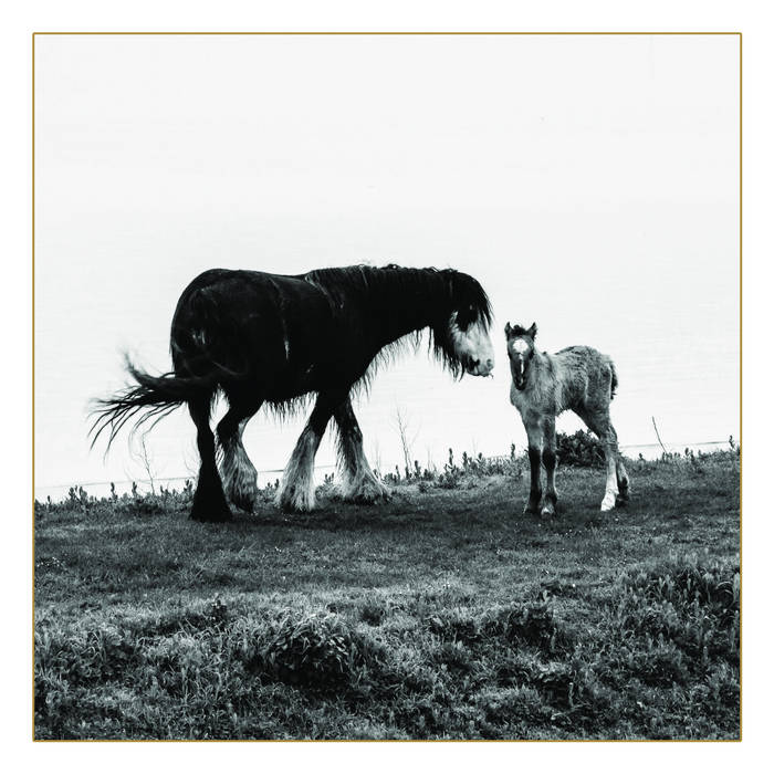 The River - Harrows on the Down