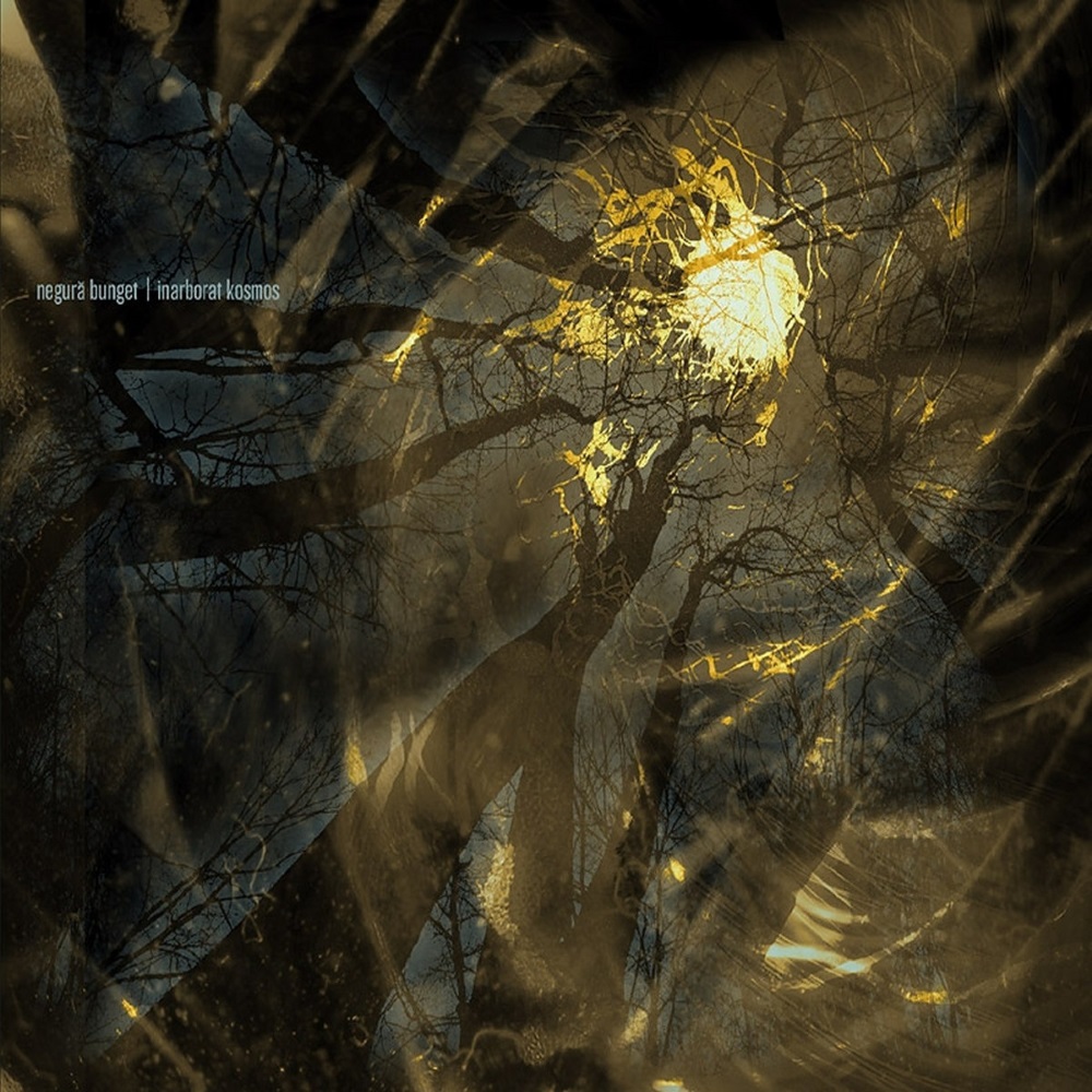 Negur&abreve; Bunget - Inarborat Kosmos