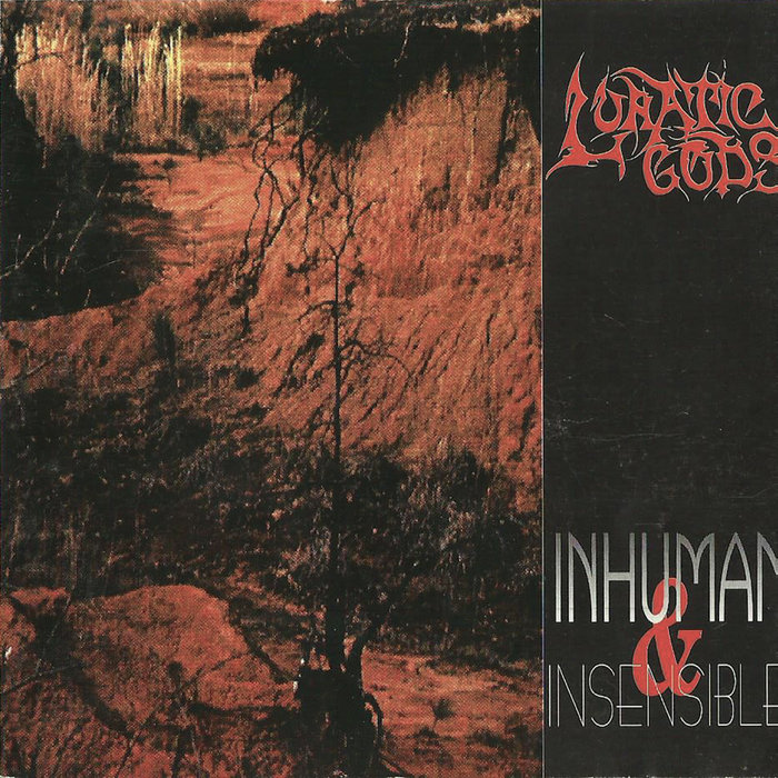 Lunatic Gods - Inhuman & Insensible