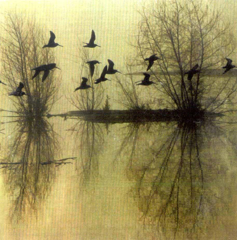 Dusk - Majestic Thou in Ruin