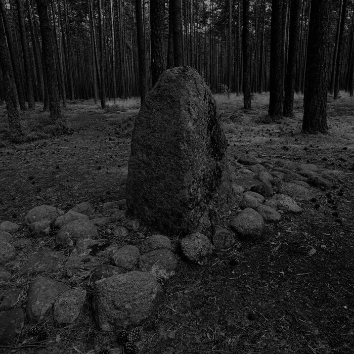 Old Leshy - March to the Forest (digital)