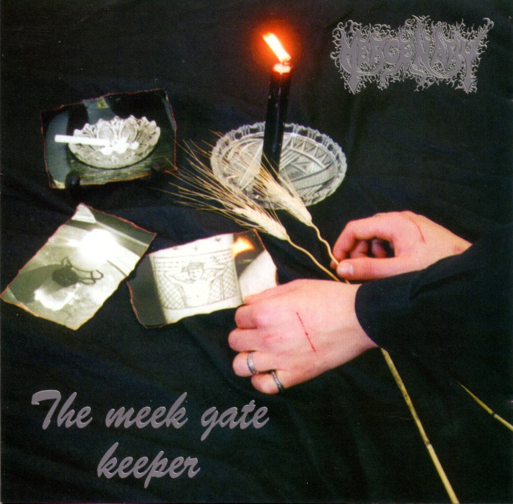 Mercenary - The Meek Gate Keeper