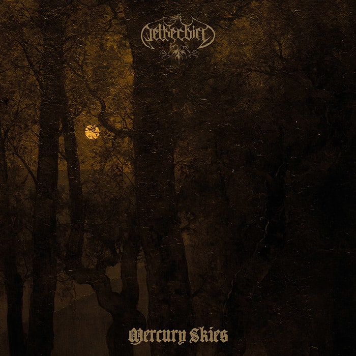 Netherbird - Mercury Skies (digital)