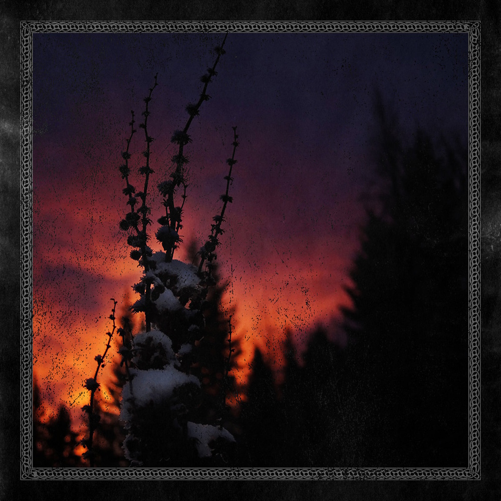 Blackbraid - Nocturnal Womb