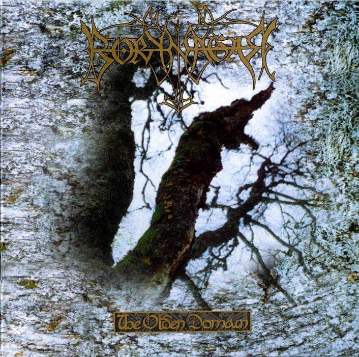 Borknagar - The Olden Domain