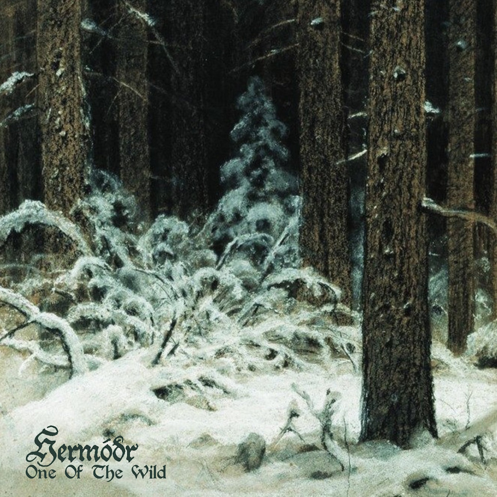 Herm&oacute;&eth;r - One Of The Wild