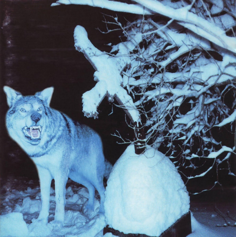 Throes Of Dawn - Pakkasherra